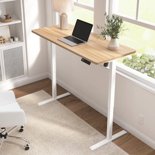 Energize 55W x 24D Electric Height Adjustable Standing Desk